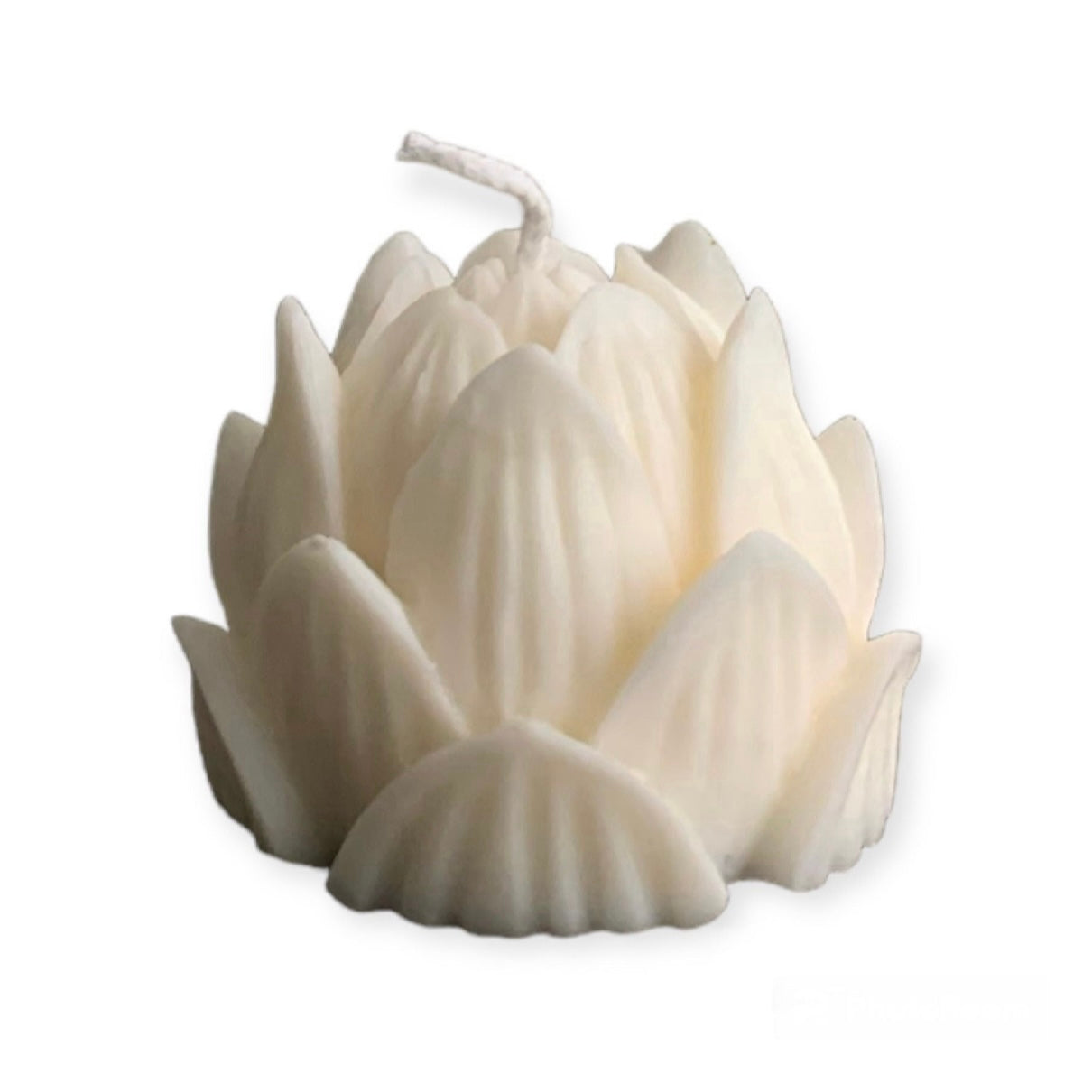 Box Candela Profumata Fiore di Loto